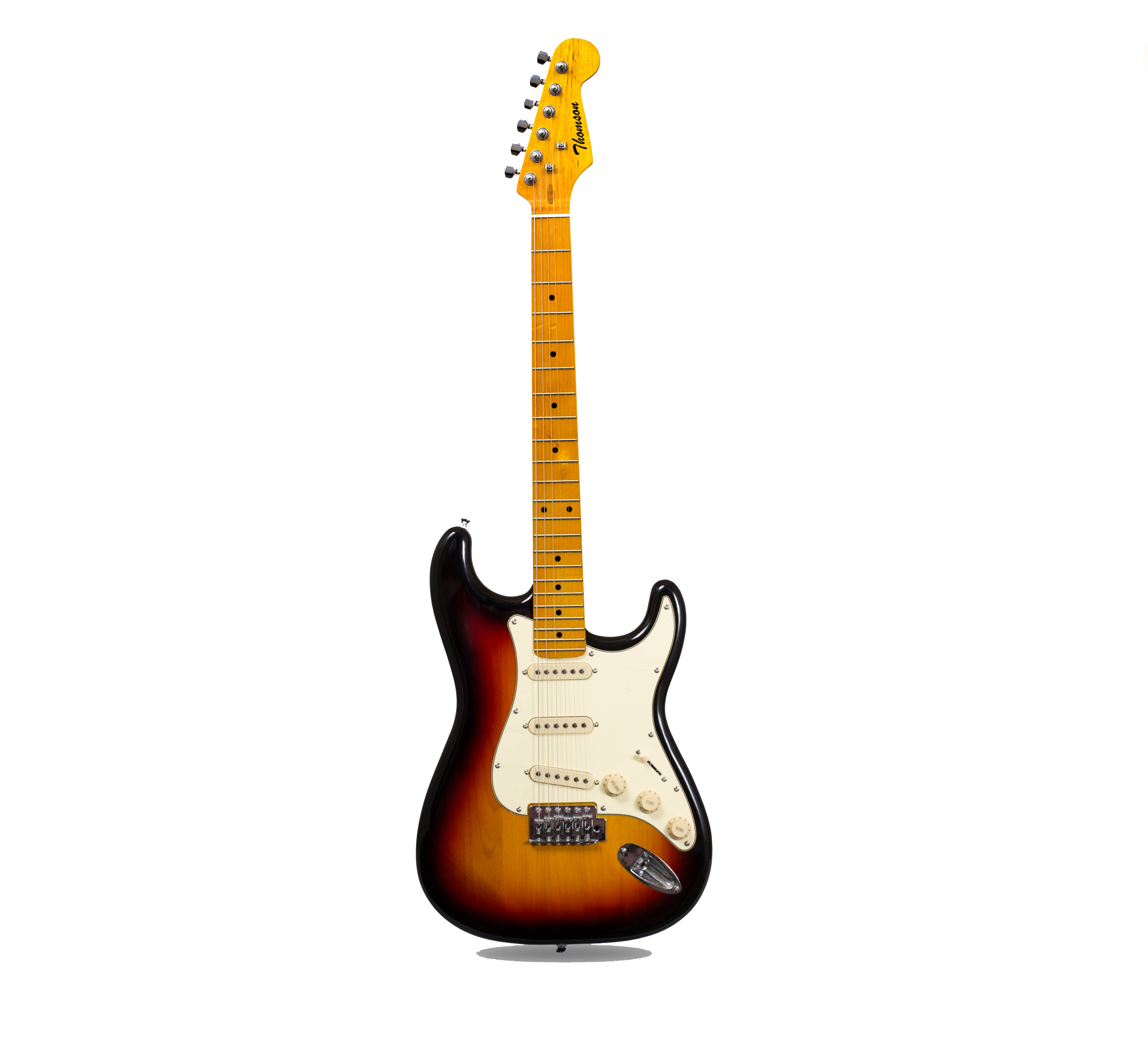 Electric Guitar